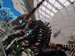 -陕西自然博物馆