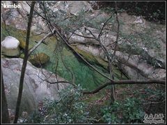 -祁门牯牛降观音堂风景区