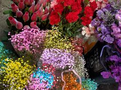 -桂林市花鸟市场