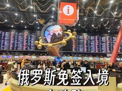 -谢列梅捷沃国际机场