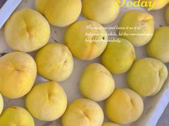 -南汇水蜜桃采摘(大团店)