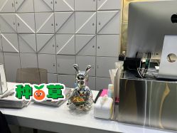 -吉米造型