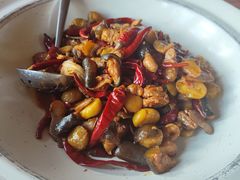 -印象鲵宴·张家界地标美食名片(溪布街店)