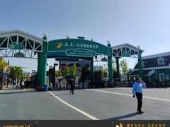 -荷兰花海
