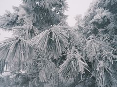 -湖州龙王山景区