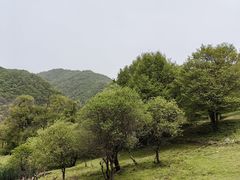 -大水川景区