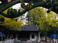 -汇龙潭