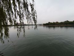 -麦当劳(利津路店)