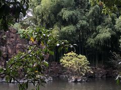 -北寺塔