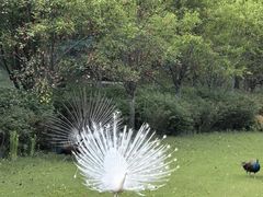 -永安水煮活鱼·仪征土菜院子