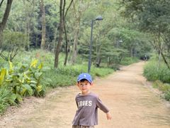 -西湖风景区-江洋畈生态公园