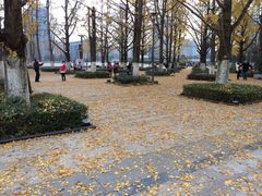 -百林公园-两江幸福广场