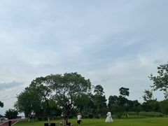 -瑶湖郊野森林公园