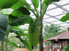 -忆江南·生态餐饮宴会酒店