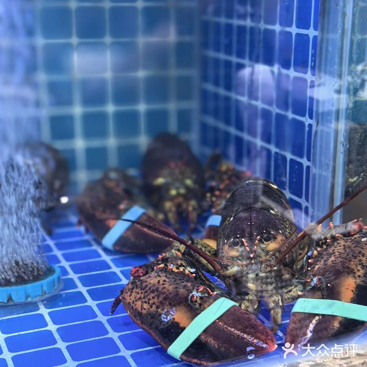 今天我要带你们探索一家超赞的海鲜大排档