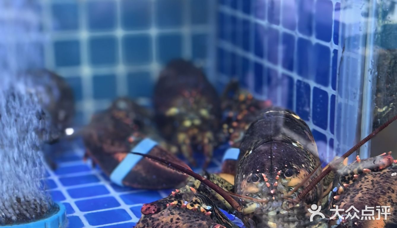 今天我要带你们探索一家超赞的海鲜大排档