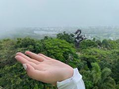 -三亚蜈支洲岛旅游区