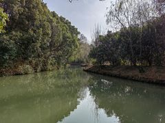-同里国家湿地公园