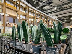 -鹿岛会员店 (龙湖三千集天街店)