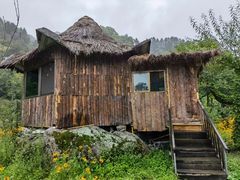 -黑河国家森林公园