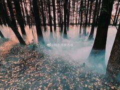 -东湖落雁景区