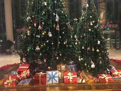 -成都世纪城假日酒店-西楼