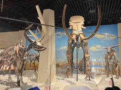 -国家自然博物馆