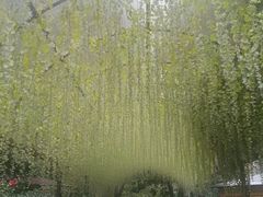 -张鸟园农家乐(张鸟园店)