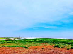 -南汇嘴观海公园