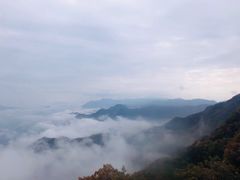 -神农山景区