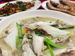 -蛇口康乐快餐鱼仔档(翠苑小区店)