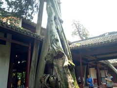 -太平天国侍王府
