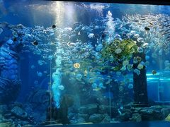 -波塞冬海底世界