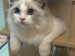 -猫遇摄影工作室