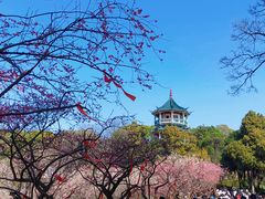 -无锡梅园公园