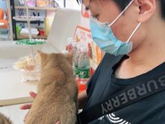 -lincat·猫舍(广州店)