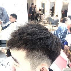 点击看大图 -茗梵谷造型