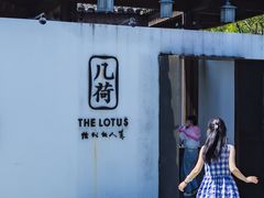 -几荷·恰似故人来(秀水广场店)