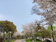 -尚贤河湿地