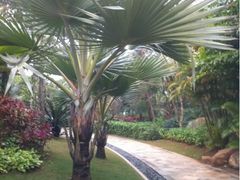 iPhone_110223222233-海口喜来登酒店