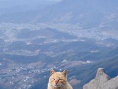 -萍乡武功山风景名胜区