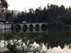 -九华山聚龙大酒店