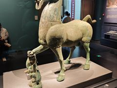 -广西壮族自治区博物馆