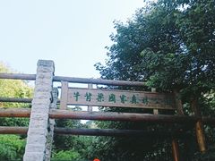 -牛背梁国家森林公园