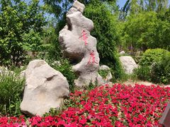 -武清南湖绿博园