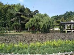 -昆明植物园