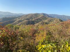 -北京西山国家森林公园