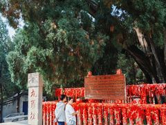 -四门塔风景区