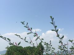 -苏州吴中太湖旅游区