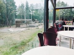 景观位-上海野生动物园老虎餐厅